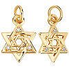16Pcs Brass Micro Pave Clear Cubic Zirconia Charms KK-BBC0015-88-1