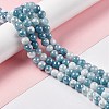 Electroplated Glass Beads Strands GLAA-C023-01J-2
