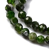 Natural Diopside Beads Strands G-G188-B14-02-4