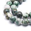 Natural Dioptase Round Beads Strands G-E569-Q01-C-3