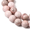 Natural Zebra Jasper Round Bead Strands X-G-E334-8mm-11-7