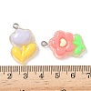Transparent Resin Pendants RESI-I339-02P-3