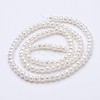 Natural Cultured Freshwater Pearl Beads Strands PEAR-F004-65-2