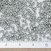 MIYUKI Round Rocailles Beads SEED-X0054-RR0194-4