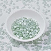MIYUKI TILA Beads X-SEED-J020-TL2560-2