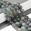 Natural Fluorite Beads Strands G-P530-B04-05-2