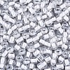6/0 Glass Seed Beads X-SEED-A015-4mm-2201-2
