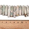 Natural Variscite Beads Strands G-Q616-06E-4