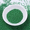 MIYUKI Delica Beads X-SEED-J020-DB0655-2