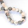 Natural Zebra Jasper Round Bead Strands G-E334-8mm-11-6