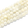 Natural Rainbow Moonstone Strands G-G764-45-10mm-1