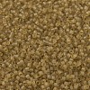 MIYUKI Delica Beads SEED-X0054-DB0771-3