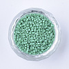 Baking Paint Cylinder Seed Beads SEED-Q036-02A-D04-2