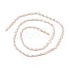 Opaque Glass Beads Strands GLAA-P001-04A-04-3