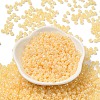 Glass Seed Beads SEED-H002-H-1307-2