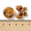 Transparent Acrylic Beads LS-X1-MACR-L005-05B-3