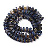 Natural Sodalite Beads Strands G-F796-A10-01-3