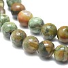 Natural Rhyolite Jasper Beads Strands G-F674-03AB-6mm-3
