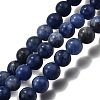 Natural Sodalite Round Bead Strands G-P072-27-4mm-2