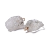 Natural Tourmalinated Quartz/Black Rutilated Quartz Pendants G-B021-06-3