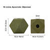 Painted Natural Wooden Beads WOOD-FH0001-09-2