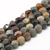 Natural Ocean Jasper Beads Strands G-R448-6mm-11-1
