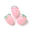 Handmade Lampwork Beads Strands LAMP-G162-05H-2