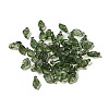 Transparent Acrylic Charms TACR-G041-01B-1