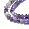 Natural Amethyst Beads Strands G-F715-085-3