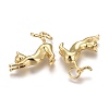 Brass Pendants KK-Z001-07G-2