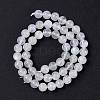 Natural Rainbow Moonstone Beads Strands G-I249-B04-05-3