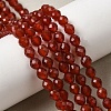 Dyed & Heated Natural Carnelian Beads Strands G-K376-F24-01-1