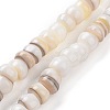 Natural Cultured Freshwater Shell Beads Strands SHEL-F002-01D-1