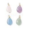 4Pcs 4 Styles Natural Amethyst & Rose Quartz & Green Aventurine & Dyed Quartz Teardrop Charms with Brass Bails PALLOY-JF04268-01-1