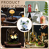 Round Glass Dome Cover GLAA-WH0049-013C-5