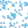 12/0 Grade A Round Glass Seed Beads SEED-Q009-FJX08-2