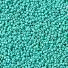 MIYUKI Round Rocailles Beads SEED-JP0009-RR4475-3