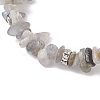 Natural Labradorite Chip Beaded Stretch Bracelets BJEW-JB12316-01-4