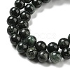 Natural Serpentine Beads Strands G-P504-6mm-01-4