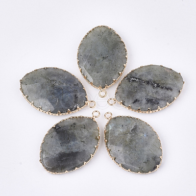 Natural Labradorite Pendants G-S344-83A-1