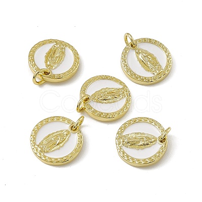 Rack Plating Brass Enamel Charms KK-C007-24G-1