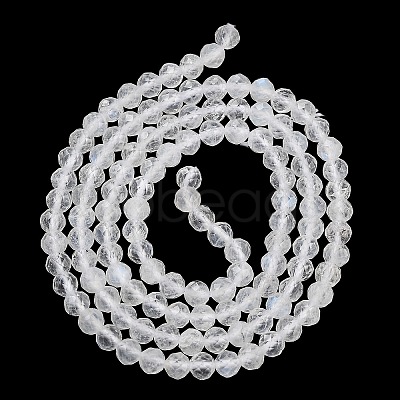 Faceted Round Natural Rainbow Moonstone Bead Strands G-F289-05-1