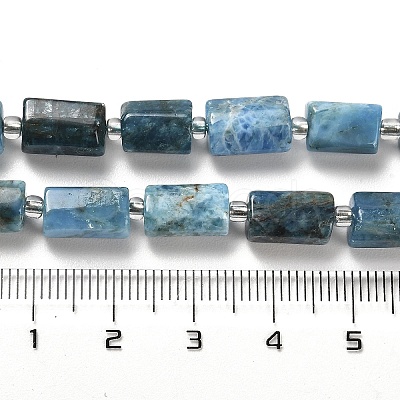 Natural Apatite Beads Strands G-N327-06-27-1