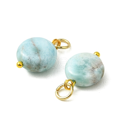 Natural Larimar Pendants PALLOY-JF05999-1
