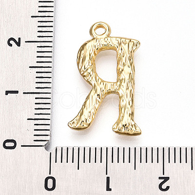304 Stainless Steel Pendants STAS-N117-01G-R-1