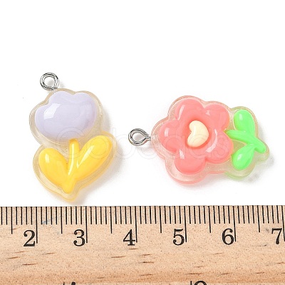 Transparent Resin Pendants RESI-I339-02P-1