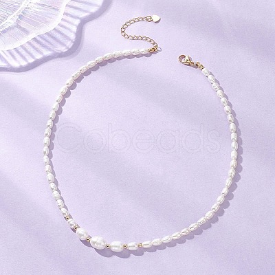Natural Cultured Freshwater Pearl Necklaces for Women NJEW-JN05940-1