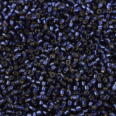 MIYUKI Delica Beads X-SEED-J020-DB2191-1