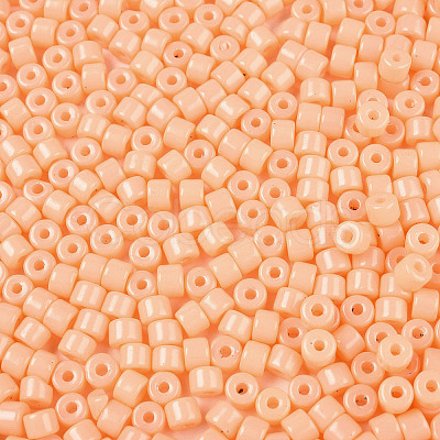 Opaque Baking Paint Glass Seed Beads SEED-T008-02D-1