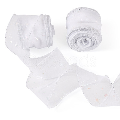 Polyester Deco Mesh Ribbons OCOR-TAC0024-004E-1